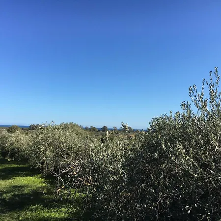Séjour à la campagne Sa Tanca De Mannoi *