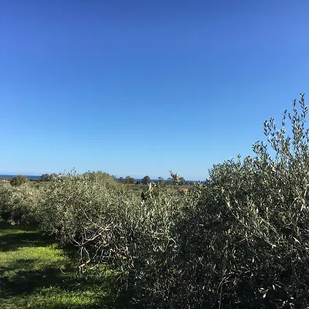 Country house Sa Tanca De Mannoi *